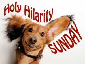 holyhilaritydog-300x225.jpg
